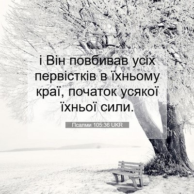 Picture 07 - Псалми 105:36 UKR - і Він повбивав усіх - Bible Verse Picture