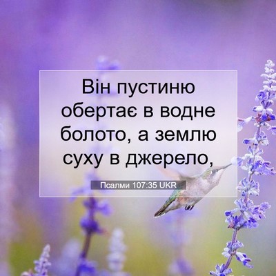 Picture 07 - Псалми 107:35 UKR - Він пустиню обертає в - Bible Verse Picture
