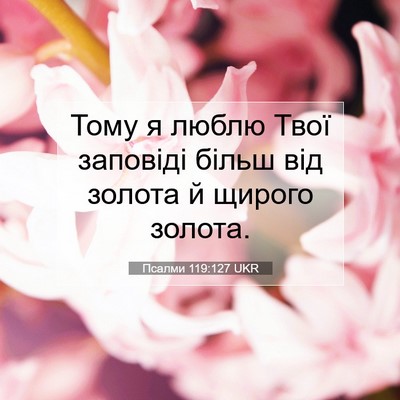 Picture 07 - Псалми 119:127 UKR - Тому я люблю Твої заповіді - Bible Verse Picture