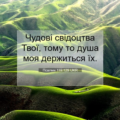Picture 07 - Псалми 119:129 UKR - Чудові свідоцтва Твої, - Bible Verse Picture