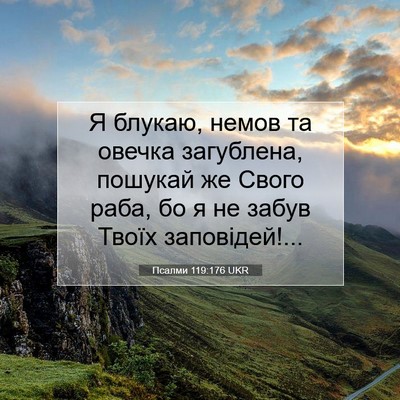 Picture 07 - Псалми 119:176 UKR - Я блукаю, немов та овечка - Bible Verse Picture