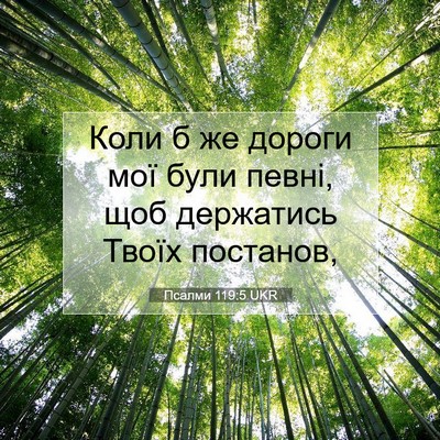Picture 07 - Псалми 119:5 UKR - Коли б же дороги мої були - Bible Verse Picture