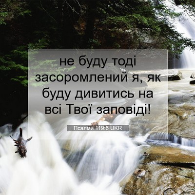 Picture 07 - Псалми 119:6 UKR - не буду тоді засоромлений - Bible Verse Picture