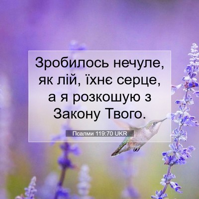 Picture 07 - Псалми 119:70 UKR - Зробилось нечуле, як лій, - Bible Verse Picture