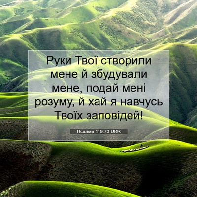 Picture 07 - Псалми 119:73 UKR - Руки Твої створили мене й - Bible Verse Picture