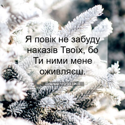 Picture 07 - Псалми 119:93 UKR - Я повік не забуду наказів - Bible Verse Picture