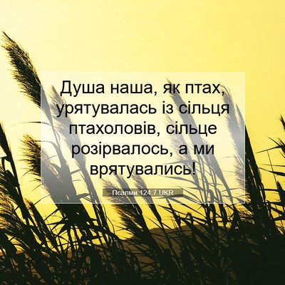 Picture 07 - Псалми 124:7 UKR - Душа наша, як птах, - Bible Verse Picture