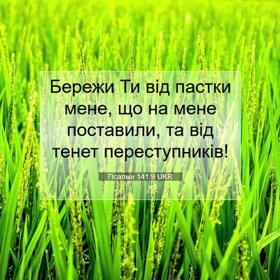 Picture 07 - Псалми 141:9 UKR - Бережи Ти від пастки мене, - Bible Verse Picture