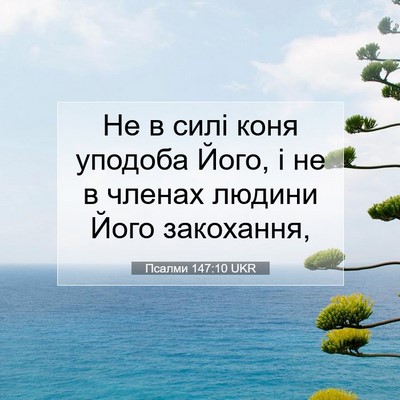 Picture 07 - Псалми 147:10 UKR - Не в силі коня уподоба - Bible Verse Picture
