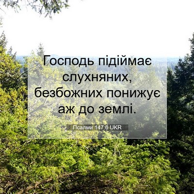 Picture 07 - Псалми 147:6 UKR - Господь підіймає - Bible Verse Picture