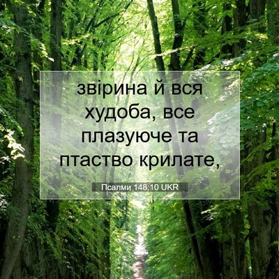 Picture 07 - Псалми 148:10 UKR - звірина й вся худоба, все - Bible Verse Picture