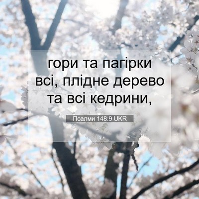 Picture 07 - Псалми 148:9 UKR - гори та пагірки всі, плідне - Bible Verse Picture
