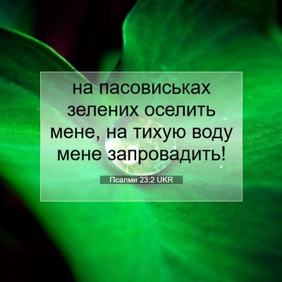 Picture 07 - Псалми 23:2 UKR - на пасовиськах зелених - Bible Verse Picture