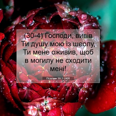 Picture 07 - Псалми 30:3 UKR - (30-4) Господи, вивів Ти душу - Bible Verse Picture