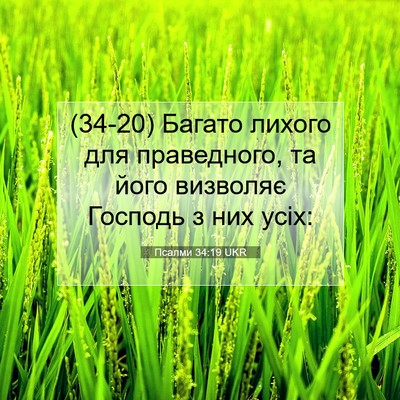 Picture 07 - Псалми 34:19 UKR - (34-20) Багато лихого для - Bible Verse Picture