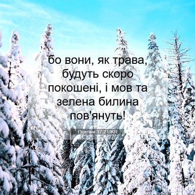 Picture 07 - Псалми 37:2 UKR - бо вони, як трава, будуть - Bible Verse Picture