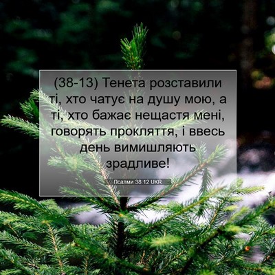 Picture 07 - Псалми 38:12 UKR - (38-13) Тенета розставили ті, - Bible Verse Picture