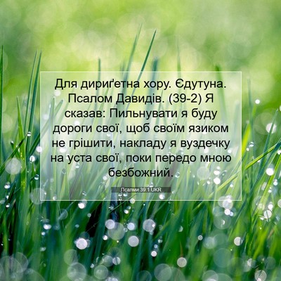 Picture 07 - Псалми 39:1 UKR - Для дириґетна хору. - Bible Verse Picture