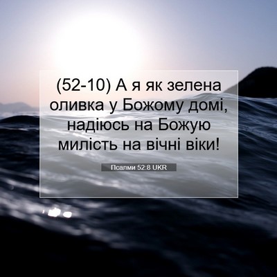 Picture 07 - Псалми 52:8 UKR - (52-10) А я як зелена оливка у - Bible Verse Picture