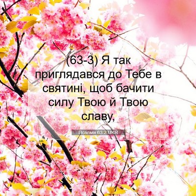 Picture 07 - Псалми 63:2 UKR - (63-3) Я так приглядався до - Bible Verse Picture
