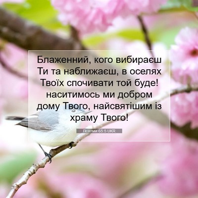 Picture 07 - Псалми 65:5 UKR - Блаженний, кого вибираєш - Bible Verse Picture