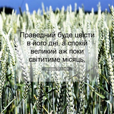 Picture 07 - Псалми 72:7 UKR - Праведний буде цвісти в - Bible Verse Picture
