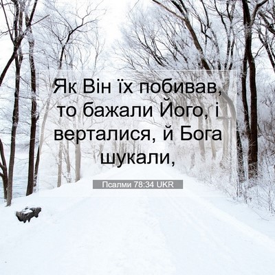Picture 07 - Псалми 78:34 UKR - Як Він їх побивав, то - Bible Verse Picture