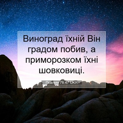 Picture 07 - Псалми 78:47 UKR - Виноград їхній Він градом - Bible Verse Picture