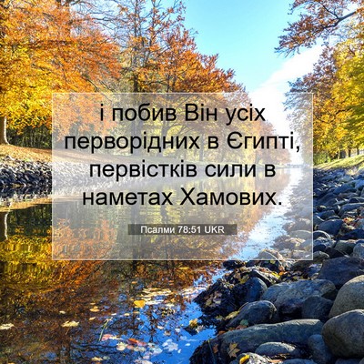 Picture 07 - Псалми 78:51 UKR - і побив Він усіх - Bible Verse Picture