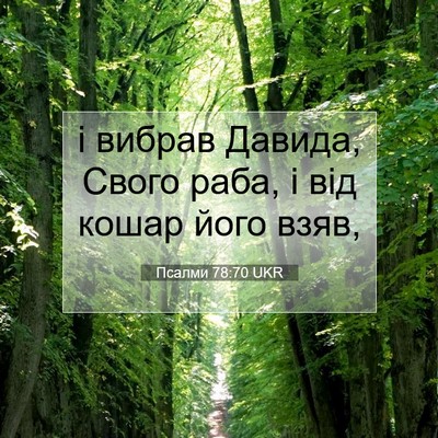 Picture 07 - Псалми 78:70 UKR - і вибрав Давида, Свого - Bible Verse Picture