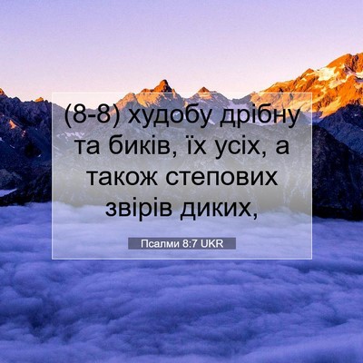 Picture 07 - Псалми 8:7 UKR - (8-8) худобу дрібну та биків, - Bible Verse Picture