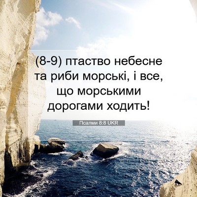 Picture 07 - Псалми 8:8 UKR - (8-9) птаство небесне та риби - Bible Verse Picture