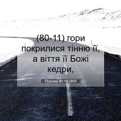 Picture 07 - Псалми 80:10 UKR - (80-11) гори покрилися тінню - Bible Verse Picture