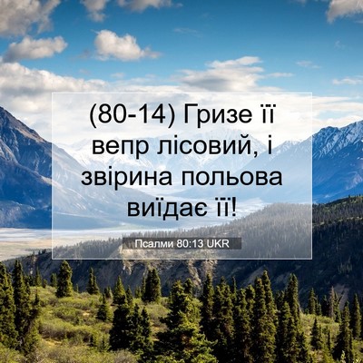 Picture 07 - Псалми 80:13 UKR - (80-14) Гризе її вепр лісовий, - Bible Verse Picture