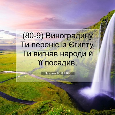 Picture 07 - Псалми 80:8 UKR - (80-9) Виноградину Ти переніс - Bible Verse Picture