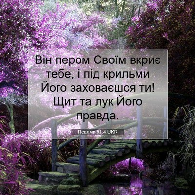 Picture 07 - Псалми 91:4 UKR - Він пером Своїм вкриє тебе, - Bible Verse Picture