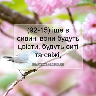 Picture 07 - Псалми 92:14 UKR - (92-15) іще в сивині вони - Bible Verse Picture