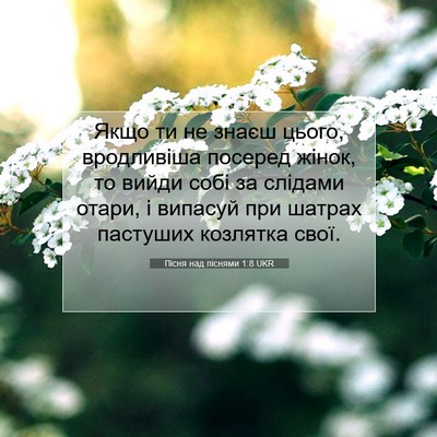 Picture 07 - Пісня над піснями 1:8 UKR - Якщо ти не знаєш цього, - Bible Verse Picture