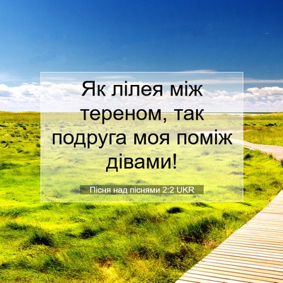 Picture 07 - Пісня над піснями 2:2 UKR - Як лілея між тереном, так - Bible Verse Picture