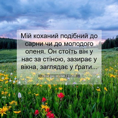 Picture 07 - Пісня над піснями 2:9 UKR - Мій коханий подібний до - Bible Verse Picture
