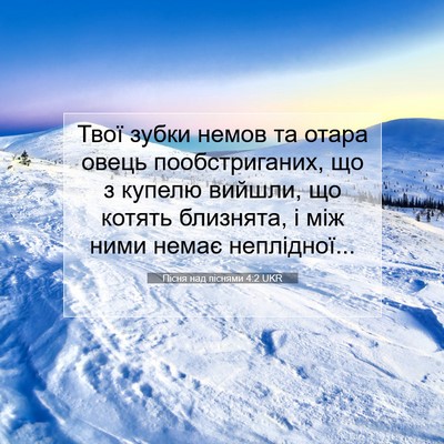 Picture 07 - Пісня над піснями 4:2 UKR - Твої зубки немов та отара - Bible Verse Picture