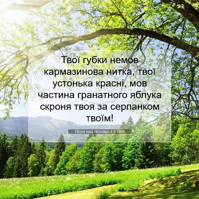 Picture 07 - Пісня над піснями 4:3 UKR - Твої губки немов - Bible Verse Picture