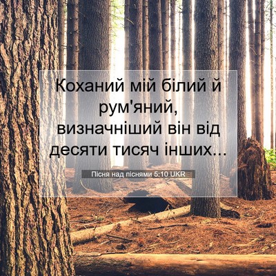 Picture 07 - Пісня над піснями 5:10 UKR - Коханий мій білий й - Bible Verse Picture