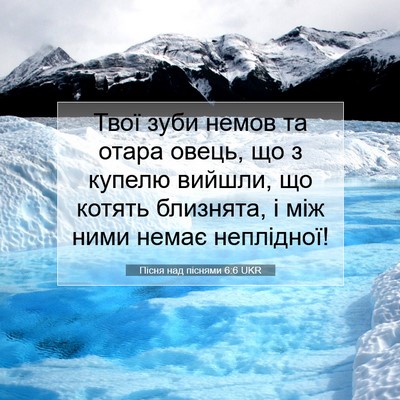 Picture 07 - Пісня над піснями 6:6 UKR - Твої зуби немов та отара - Bible Verse Picture