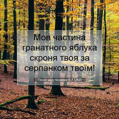 Picture 07 - Пісня над піснями 6:7 UKR - Мов частина гранатного - Bible Verse Picture
