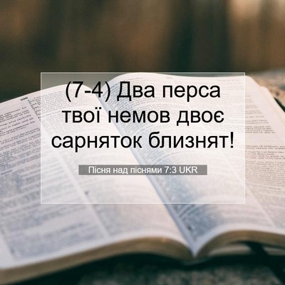 Picture 07 - Пісня над піснями 7:3 UKR - (7-4) Два перса твої немов - Bible Verse Picture