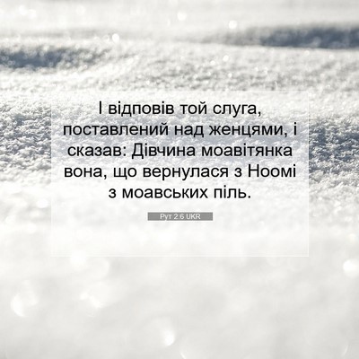 Picture 07 - Рут 2:6 UKR - І відповів той слуга, - Bible Verse Picture