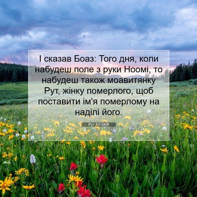 Picture 07 - Рут 4:5 UKR - І сказав Боаз: Того дня, - Bible Verse Picture