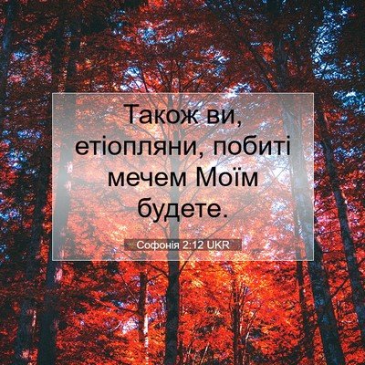 Picture 07 - Софонія 2:12 UKR - Також ви, етіопляни, побиті - Bible Verse Picture