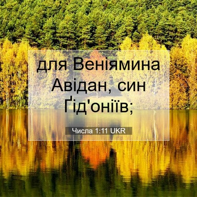 Picture 07 - Числа 1:11 UKR - для Веніямина Авідан, син - Bible Verse Picture